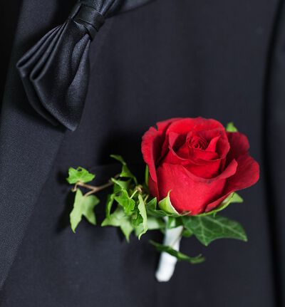 Rød knapphullsblomst Rød knapphullsblomst